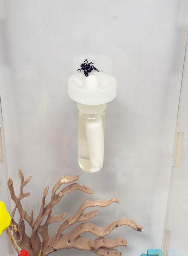 Daerky Jumping Spider Water Dispenser, Magnetic Hanging Feeder,Suitable for Jumping Spiders,Tarantulas, Praying Mantises,Arboreal Animals, and Other Small Animal Enclosure Accessories (Transparent, 5ML) - Image 1